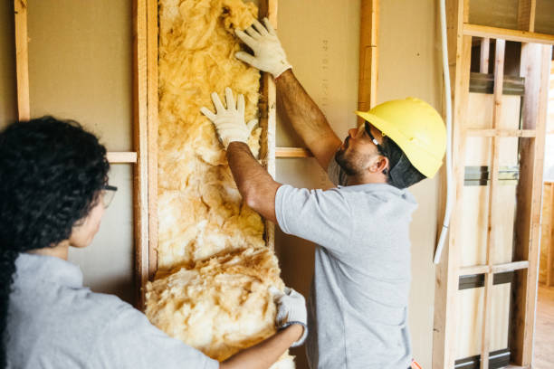 Best Insulation Contractors for Homes  in North Miami Beach, FL